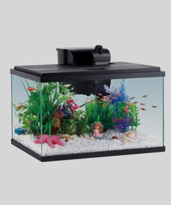 Aquariun & Item